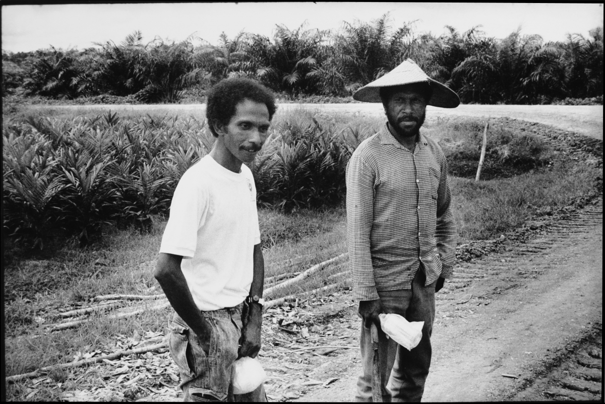 2 palm oil plantation labourers  